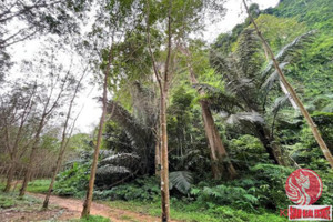 Działka na sprzedaż Khao Khram, Krabi, Thailand - zdjęcie 3