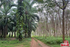 Działka na sprzedaż Khao Khram, Krabi, Thailand - zdjęcie 1