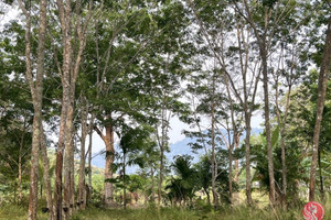 Działka na sprzedaż Phang Nga, Phang Nga, Thailand - zdjęcie 1