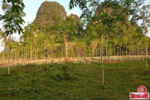 Działka na sprzedaż Nong Thaley, Krabi, Thailand - zdjęcie 1