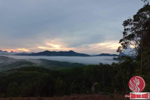 Działka na sprzedaż Phang Nga, Phang Nga, Thailand - zdjęcie 3