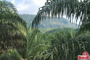 Działka na sprzedaż Phang Nga, Phang Nga, Thailand - zdjęcie 1