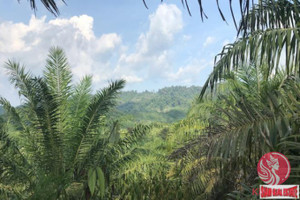 Działka na sprzedaż Phang Nga, Phang Nga, Thailand - zdjęcie 3