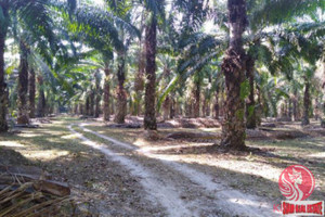 Działka na sprzedaż Phang Nga, Phang Nga, Thailand - zdjęcie 2