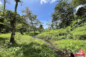 Działka na sprzedaż Garden Place Village Mueang Thalang - zdjęcie 1