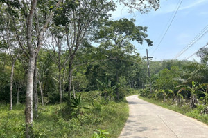 Działka na sprzedaż Phang Nga, Phang Nga, Thailand - zdjęcie 1