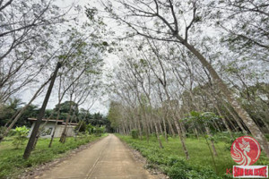 Działka na sprzedaż Nong Thaley, Krabi, Thailand - zdjęcie 3