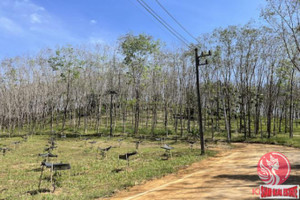 Działka na sprzedaż Phang Nga, Phang Nga, Thailand - zdjęcie 2