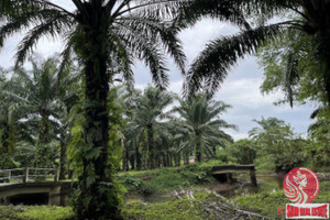 Działka na sprzedaż Phang Nga, Phang Nga, Thailand - zdjęcie 3