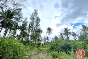 Działka na sprzedaż Phang Nga, Phang Nga, Thailand - zdjęcie 2