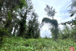 Działka na sprzedaż Phang Nga, Phang Nga, Thailand - zdjęcie 1