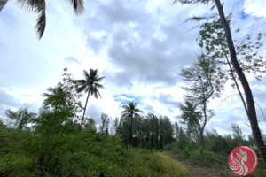 Działka na sprzedaż Phang Nga, Phang Nga, Thailand - zdjęcie 3