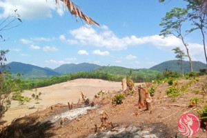 Działka na sprzedaż Phang Nga, Phang Nga, Thailand - zdjęcie 2