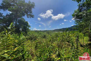 Działka na sprzedaż Thalang, Phuket, Thailand - zdjęcie 1