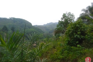 Działka na sprzedaż Phang Nga, Phang Nga, Thailand - zdjęcie 1