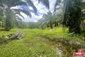 Działka na sprzedaż Nong Thaley, Krabi, Thailand - zdjęcie 1