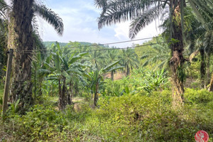 Działka na sprzedaż Phang Nga, Phang Nga, Thailand - zdjęcie 1