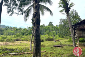 Działka na sprzedaż Phang Nga, Phang Nga, Thailand - zdjęcie 3