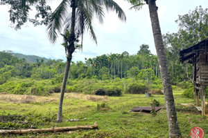 Działka na sprzedaż Phang Nga, Phang Nga, Thailand - zdjęcie 1