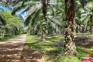 Działka na sprzedaż Nong Thaley, Krabi, Thailand - zdjęcie 1