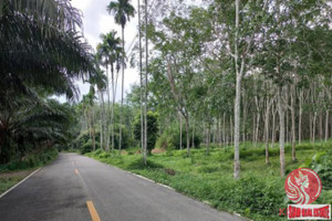 Działka na sprzedaż Phang Nga, Phang Nga, Thailand - zdjęcie 3