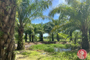 Działka na sprzedaż Phang Nga, Phang Nga, Thailand - zdjęcie 2