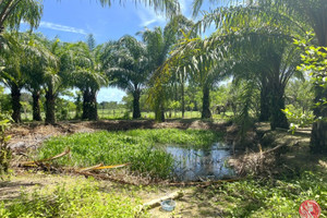 Działka na sprzedaż Phang Nga, Phang Nga, Thailand - zdjęcie 1