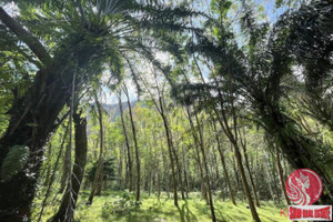 Działka na sprzedaż Khao Khram, Krabi, Thailand - zdjęcie 3