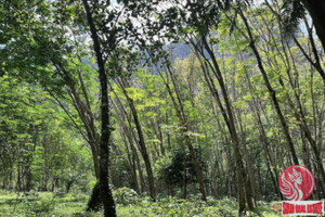 Działka na sprzedaż Khao Khram, Krabi, Thailand - zdjęcie 2