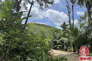 Działka na sprzedaż Phang Nga, Phang Nga, Thailand - zdjęcie 3