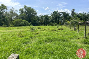 Działka na sprzedaż Phang Nga, Phang Nga, Thailand - zdjęcie 3