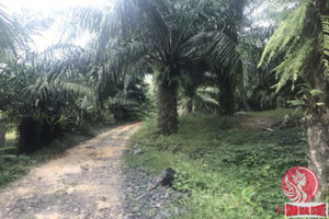 Działka na sprzedaż Phang Nga, Phang Nga, Thailand - zdjęcie 2