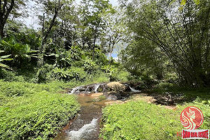 Działka na sprzedaż Thalang, Phuket, Thailand - zdjęcie 2