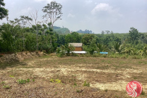 Działka na sprzedaż Phang Nga, Phang Nga, Thailand - zdjęcie 2