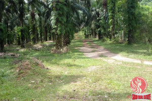 Działka na sprzedaż Khao Khram, Krabi, Thailand - zdjęcie 2