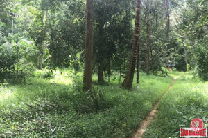 Działka na sprzedaż Nong Thaley, Krabi, Thailand - zdjęcie 1