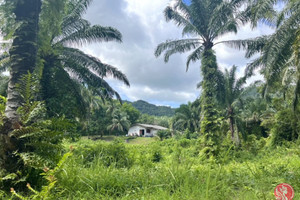 Działka na sprzedaż Nong Thaley, Krabi, Thailand - zdjęcie 1