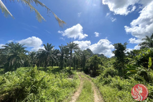 Działka na sprzedaż Nong Thaley, Krabi, Thailand - zdjęcie 3