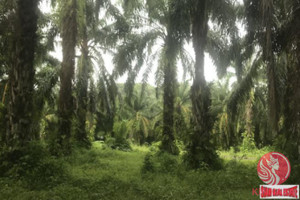 Działka na sprzedaż Phang Nga, Phang Nga, Thailand - zdjęcie 3