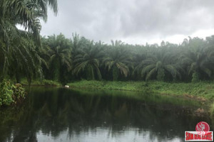 Działka na sprzedaż Phang Nga, Phang Nga, Thailand - zdjęcie 1