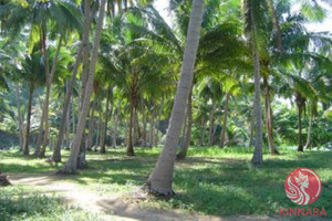 Działka na sprzedaż Koh Yao Noi, Phang Nga, Thailand - zdjęcie 3