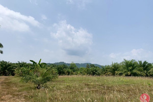 Działka na sprzedaż Phang Nga, Phang Nga, Thailand - zdjęcie 1