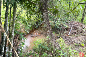 Działka na sprzedaż Phang Nga, Phang Nga, Thailand - zdjęcie 1