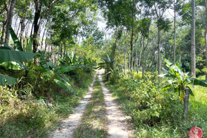 Działka na sprzedaż Phang Nga, Phang Nga, Thailand - zdjęcie 1