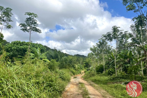 Działka na sprzedaż Phang Nga, Phang Nga, Thailand - zdjęcie 3