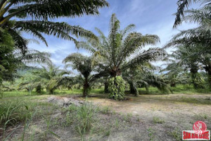 Działka na sprzedaż Khao Thong, Krabi, Thailand - zdjęcie 1