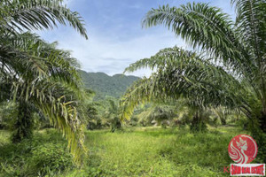 Działka na sprzedaż Khao Thong, Krabi, Thailand - zdjęcie 3