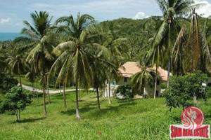 Działka na sprzedaż Bang Po, Surat Thani, Thailand - zdjęcie 2