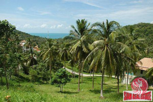 Działka na sprzedaż Bang Po, Surat Thani, Thailand - zdjęcie 3