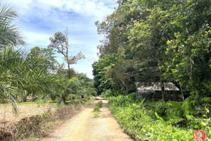 Działka na sprzedaż Phang Nga, Phang Nga, Thailand - zdjęcie 1